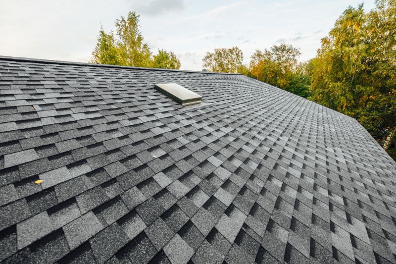 Roof Shingle Replacement